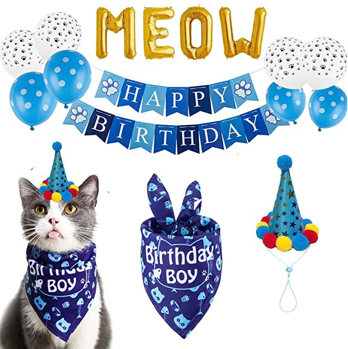 CatBirthday2 - Ideas for Cats Birthday Party