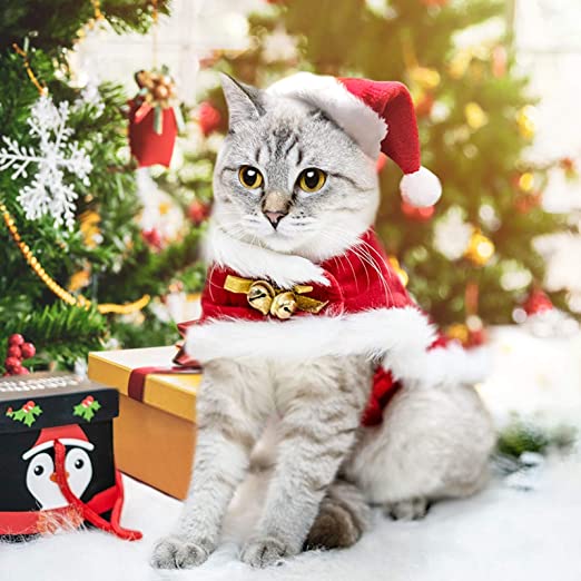 CatChristmasCostume - Costume for Cats: Is it Cruel to Put Costumes On A Cat?